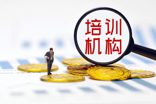 雙減政策落地重塑行業(yè)生態(tài)，培訓(xùn)機(jī)構(gòu)探尋轉(zhuǎn)型之路——多家A股上市公司發(fā)文回應(yīng)，公共就業(yè)服務(wù)或迎新機(jī)遇